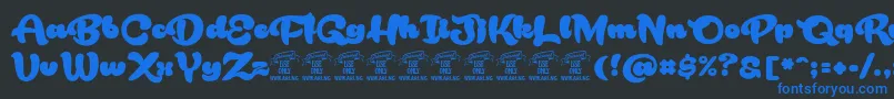 RakoonPersonaluse Font – Blue Fonts on Black Background
