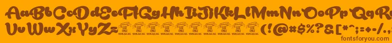 RakoonPersonaluse Font – Brown Fonts on Orange Background