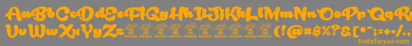 En savoir plus sur la police RakoonPersonaluse Police RakoonPersonaluse – polices orange sur fond gris