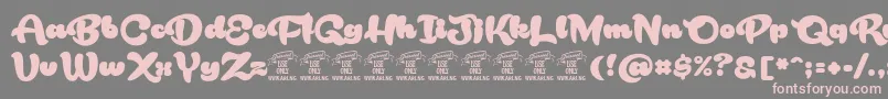 RakoonPersonaluse Font – Pink Fonts on Gray Background