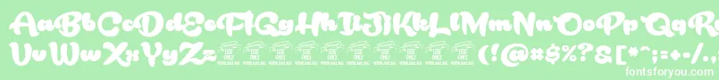 RakoonPersonaluse Font – White Fonts on Green Background