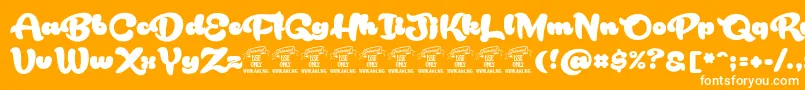 RakoonPersonaluse Font – White Fonts on Orange Background