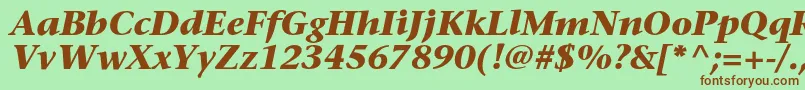 SonetserifBoldItalic Font – Brown Fonts on Green Background