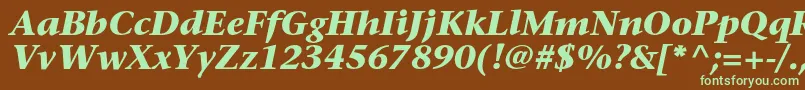 SonetserifBoldItalic Font – Green Fonts on Brown Background