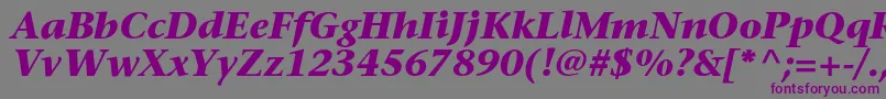 SonetserifBoldItalic Font – Purple Fonts on Gray Background