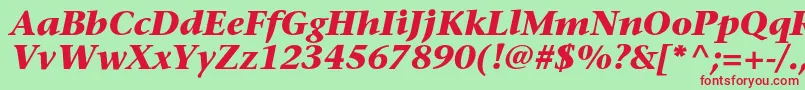 SonetserifBoldItalic Font – Red Fonts on Green Background