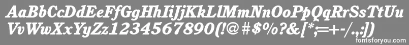 フォントC851RomanHeavyItalic – 灰色の背景に白い文字