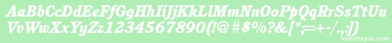 C851RomanHeavyItalic Font – White Fonts on Green Background