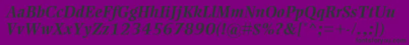 EllingtonmtstdBolditalic Font – Black Fonts on Purple Background