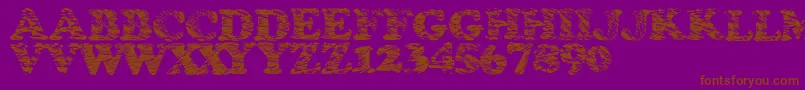 Stormtime Font – Brown Fonts on Purple Background