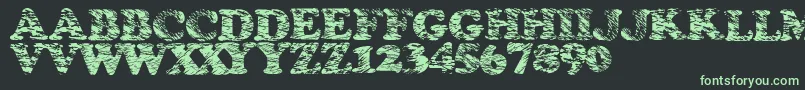 Stormtime Font – Green Fonts on Black Background