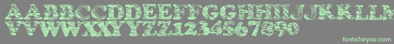 Stormtime Font – Green Fonts on Gray Background