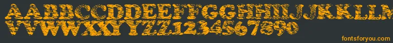 Stormtime Font – Orange Fonts on Black Background