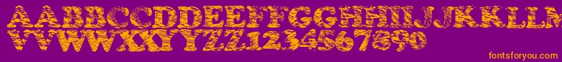 Stormtime Font – Orange Fonts on Purple Background