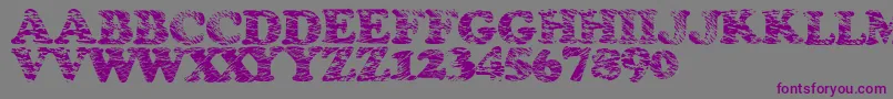 Stormtime Font – Purple Fonts on Gray Background