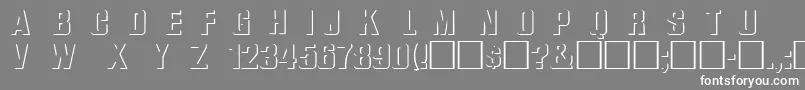 フォントWhatarelief – 灰色の背景に白い文字