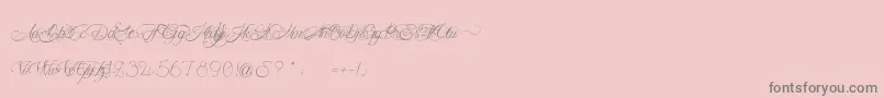 MademoiselleCamille Font – Gray Fonts on Pink Background