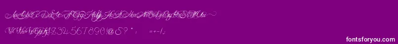 MademoiselleCamille Font – White Fonts on Purple Background