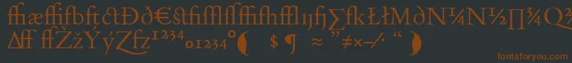 DayRomanExpert Font – Brown Fonts on Black Background