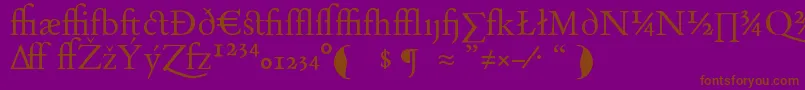 DayRomanExpert Font – Brown Fonts on Purple Background