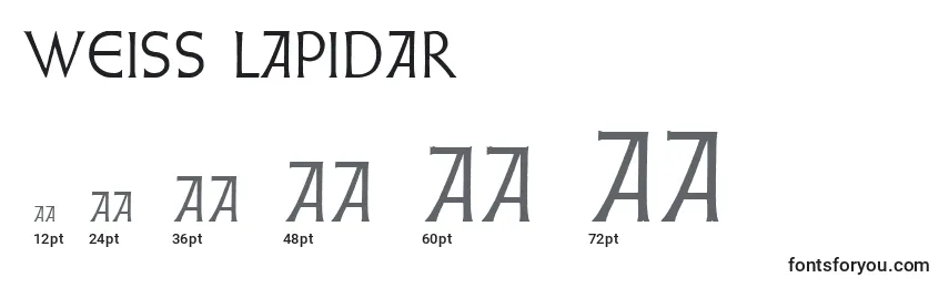 Размеры шрифта Weiss Lapidar