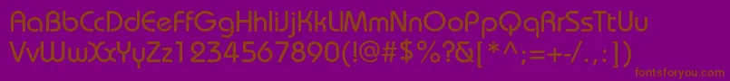 BauhauscPlain Font – Brown Fonts on Purple Background