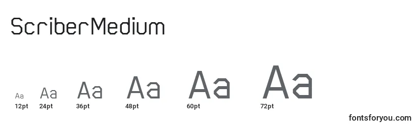 ScriberMedium Font Sizes