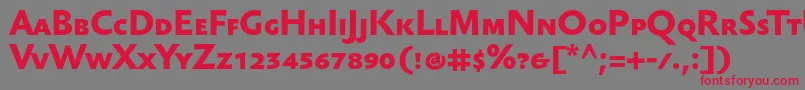 SebastianmediumscBold Font – Red Fonts on Gray Background