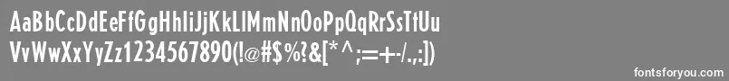 フォントE821SansRegular – 灰色の背景に白い文字
