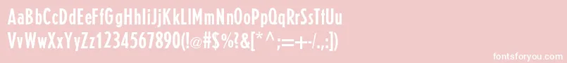 E821SansRegular Font – White Fonts on Pink Background