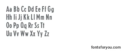 E821SansRegular Font