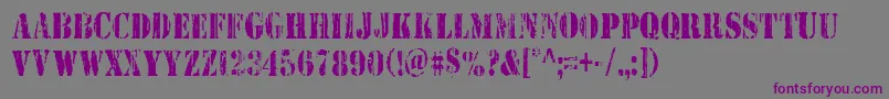 Wetworkscond-Schriftart – Violette Schriften auf grauem Hintergrund