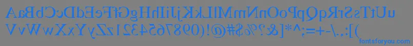 フォントTimesmirrorRegular – 灰色の背景に青い文字