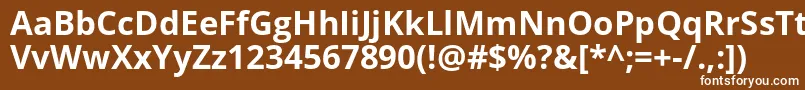 Шрифт OpenSansBold – белые шрифты на коричневом фоне