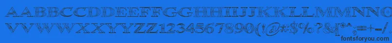 Occoout Font – Black Fonts on Blue Background