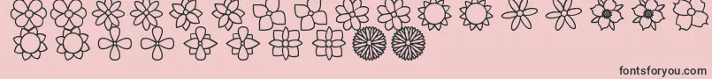 FlowersSt Font – Black Fonts on Pink Background