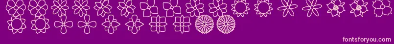 FlowersSt Font – Pink Fonts on Purple Background