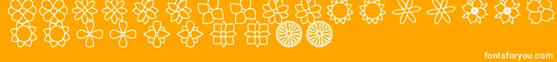 FlowersSt-Schriftart – Weiße Schriften auf orangefarbenem Hintergrund