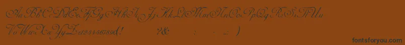 AdinekirnbergScript Font – Black Fonts on Brown Background