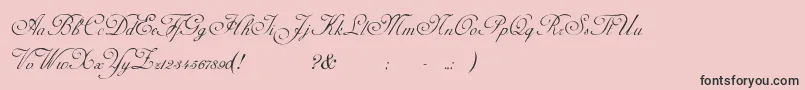 fuente AdinekirnbergScript – Fuentes Negras Sobre Fondo Rosa