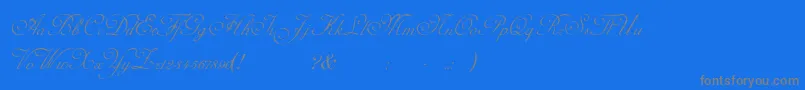 AdinekirnbergScript Font – Gray Fonts on Blue Background