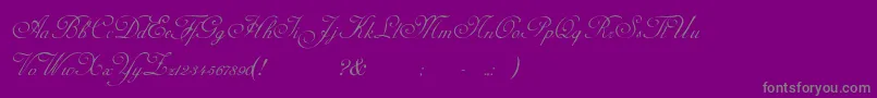 AdinekirnbergScript-Schriftart – Graue Schriften auf violettem Hintergrund