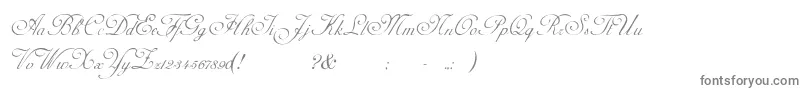 fuente AdinekirnbergScript – Fuentes Grises Sobre Fondo Blanco