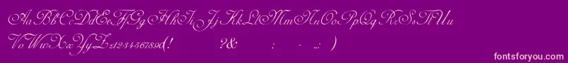 Fonte AdinekirnbergScript – fontes rosa em um fundo violeta