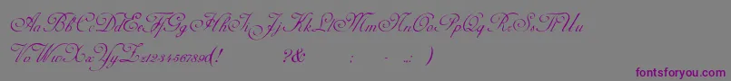 AdinekirnbergScript Font – Purple Fonts on Gray Background