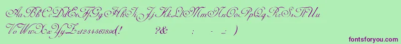 AdinekirnbergScript Font – Purple Fonts on Green Background