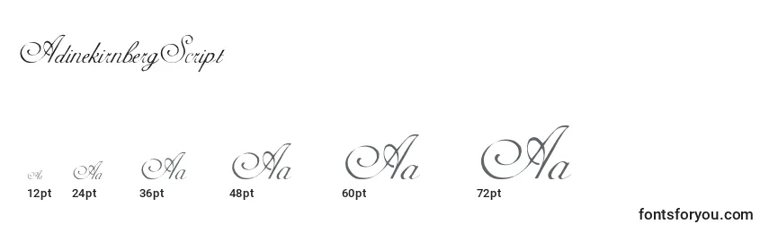 Размеры шрифта AdinekirnbergScript