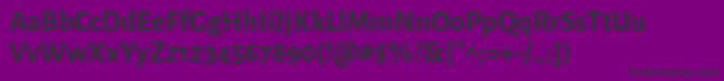 AlegreyasansBold Font – Black Fonts on Purple Background