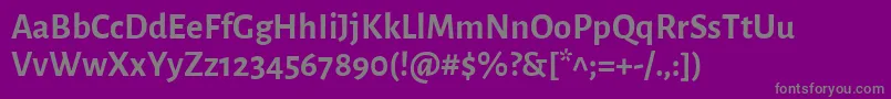 AlegreyasansBold Font – Gray Fonts on Purple Background