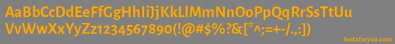 AlegreyasansBold Font – Orange Fonts on Gray Background